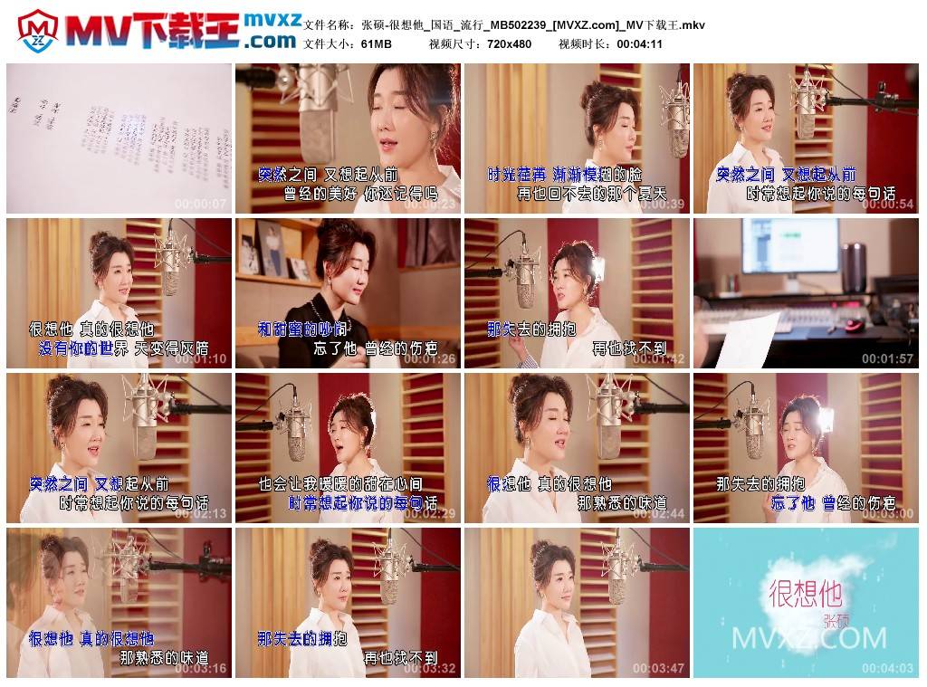 张硕-很想他_国语_流行_MB502239